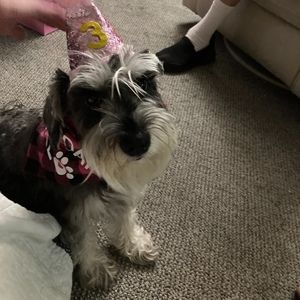 Meet your Posher, Lori